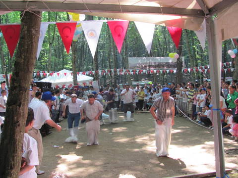 Tepeltepe-Piknigi(2010)