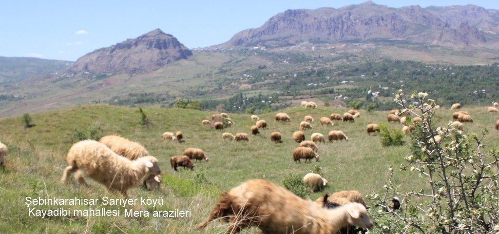 ��FT�� VE K�YL�N�N HAKKINI K�M SAVUNACAK?